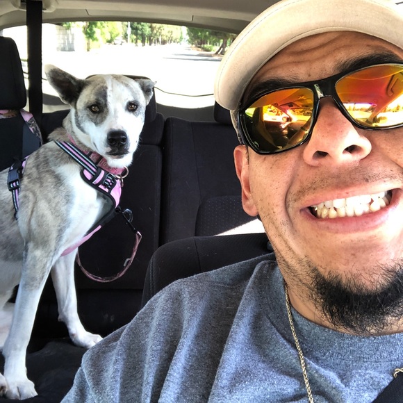 Meet your Posher, Isaac - Picture 1 of 1